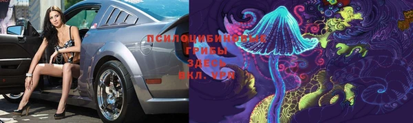 mix Гусев